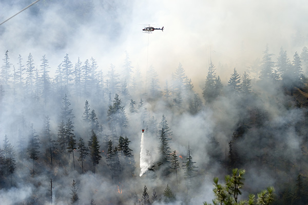 Wildfire Prediction and Real-time Flood Monitoring Systems